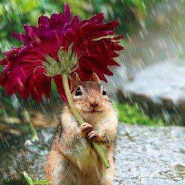 310652_340849052677517_525500100_n[1]