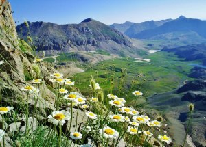 387185_10151549845714174_970154823_n[1]