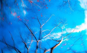 540714_584780821540055_707842970_n[1]