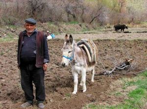 1395848_304537079684588_816104811_n[1]