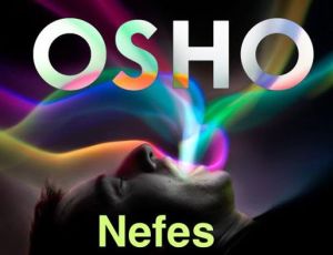 1800467_691802967550068_1067806579_n[1]