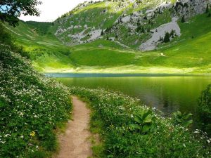 485454_634616246564419_50857086_n[1]