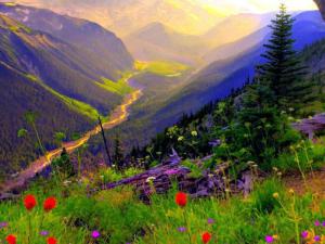 554711_183835108435920_75804344_n[1]