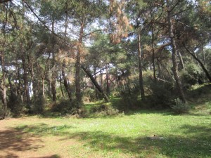 heybeliada mart 2014 031