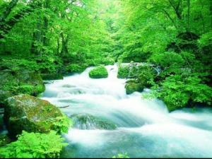 b-357816-dere_manzarası[1]