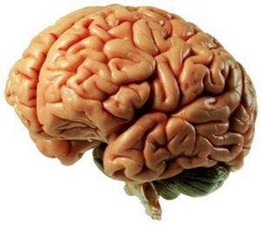 998071f09400b7487669487fc6a1044b[1]