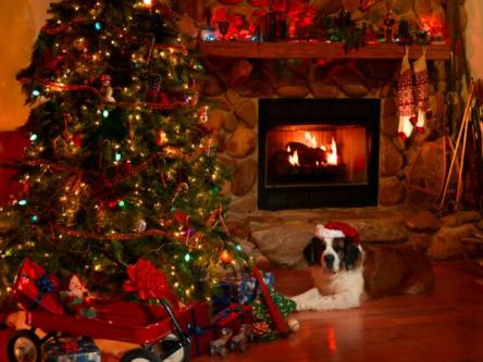 1964952_10154917235670705_8867989701218663367_n[2]