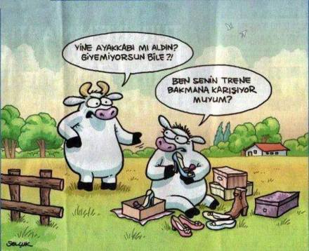 936663_756001164506810_6893327739969085303_n[1]