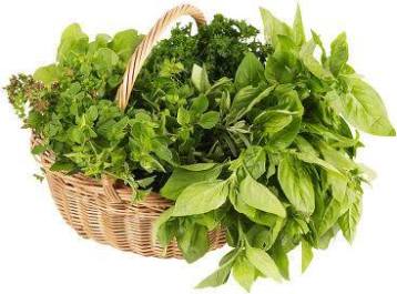 10264955_479373545497740_2439444156100769435_n[1]