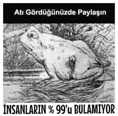 10291827_10152041789741610_6262461985008344494_n[1]