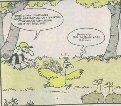 10422929_991608954197787_7982506015291454063_n[1]