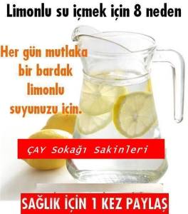 10426253_855192061210821_3308281959643586323_n[1]