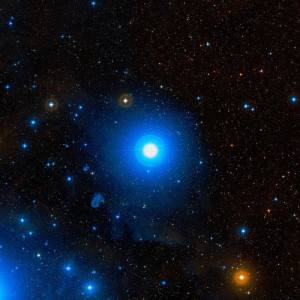 10846062_10152270938413239_1901733898411175932_n[1]