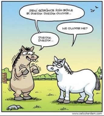 10888785_607133249387146_6750715829866309359_n[1]