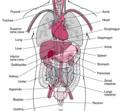 10956050_1012057502141690_3612149183921020077_n[1]