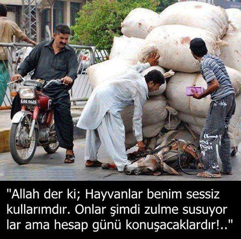 10986827_849115465134618_5314673386465971317_n[1]