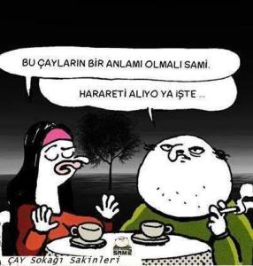 11024756_1616045315276021_3356922926283220622_n[1]