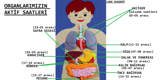 11062800_362644483931847_5906350210407155817_o[1]