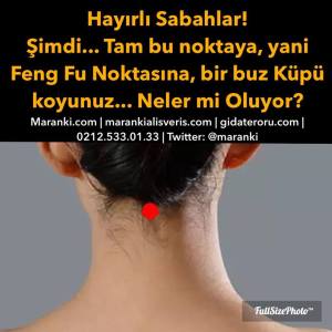 11070007_10153189128911052_1236183682663171044_n[1]