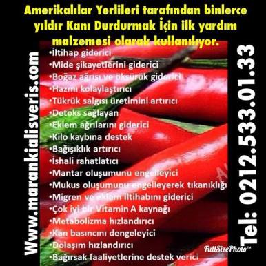 11077853_10153193633231052_3065074471283218720_n[1]