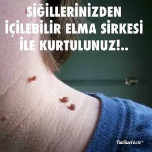 1509884_10153192478311052_3387007371286156175_n[1]