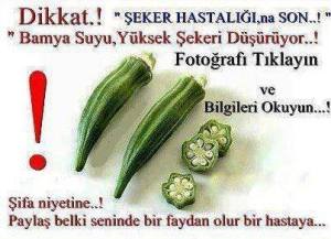 1609908_697433876965077_975371739_n[1]