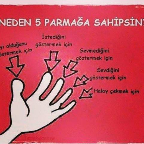 1908457_872890132749600_8229225388866619342_n[1]