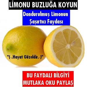 1982206_683970591644739_603887564_n[1]