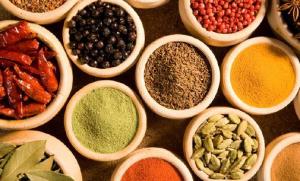 935923_372177049550724_96993586_n[1]