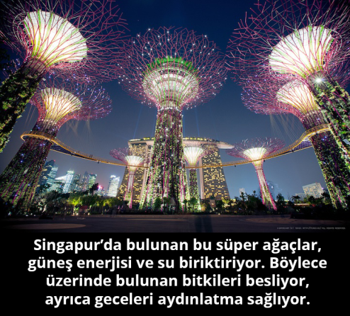 10984283_581866425248494_8111555606663026648_n[1]