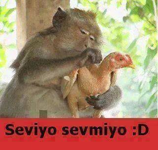 10984461_1430124097298206_4497614158944028593_n[1]