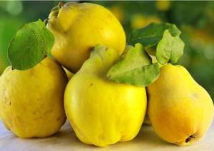 10995478_718878758186472_5537843683493898189_n[1]