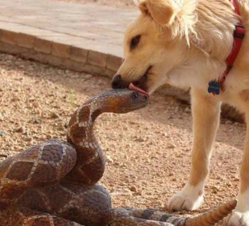 11012108_905241552871814_6663650315702309919_n[1]