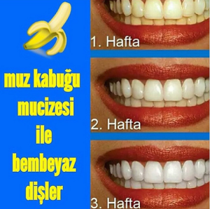 11026060_823483527718650_4294025728638554385_n[1]