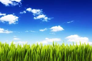 11054378_867283666661284_6261100953800140453_o[1]