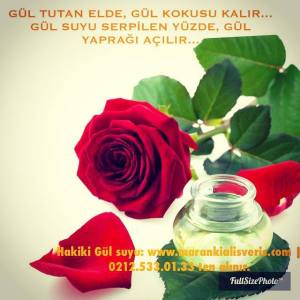 11057310_10153229141351052_2505547951963828140_n[1]