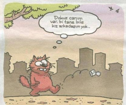 11083626_1003556369669712_5631358885926855480_n[1]