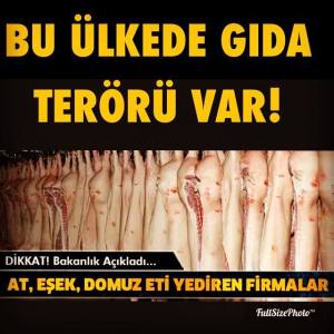 11091417_10153226882106052_6213402169646580566_n[1]