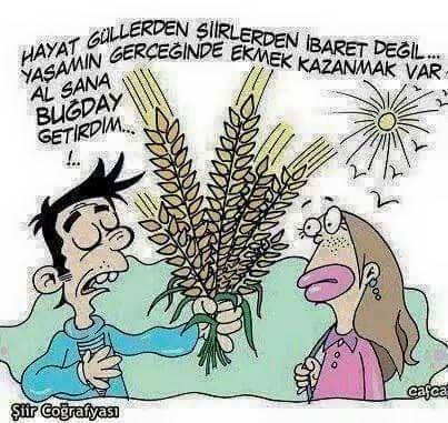 11102764_987523524600407_3799730750436204924_n[1]