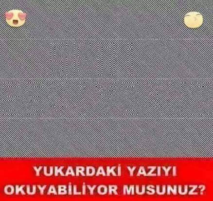 11116059_803462263066080_647335285_n[1]