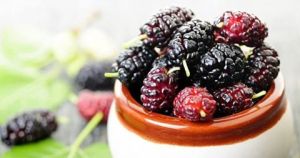 11150397_440369412796343_1466304021321017155_n[1]