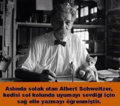 11152708_10153135825736390_6810381706817463470_n[1]