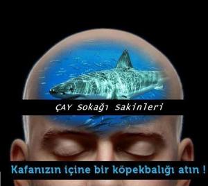 11156190_874406092622751_1678874594571364469_n[1]