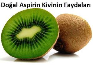 11156223_841642269236109_2076341586207451409_n[1]