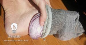 11169714_843576552376014_1411748623324177676_o[1]