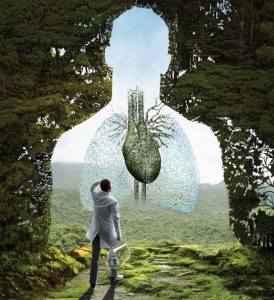 1469941_440829749372972_655798116_n[1]