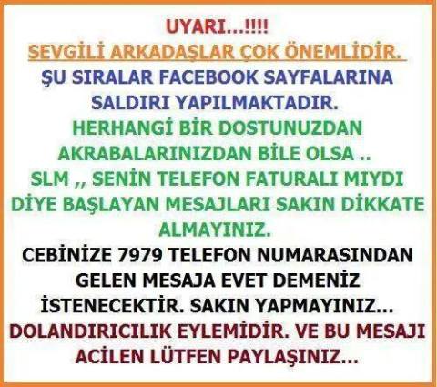 1653360_773206336052088_1192732293866069692_n[1]