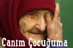 1907516_10153176832467510_6759826711997461443_n[1]