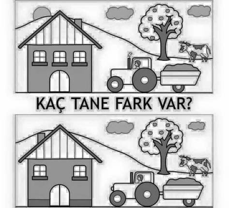 1907645_10153187776972878_2353442518558759111_n[1]