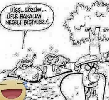 22827_997302910289135_3305208178561393106_n[1]